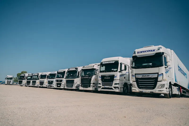 Fila de camiones de Transcosur aparcados en una campa