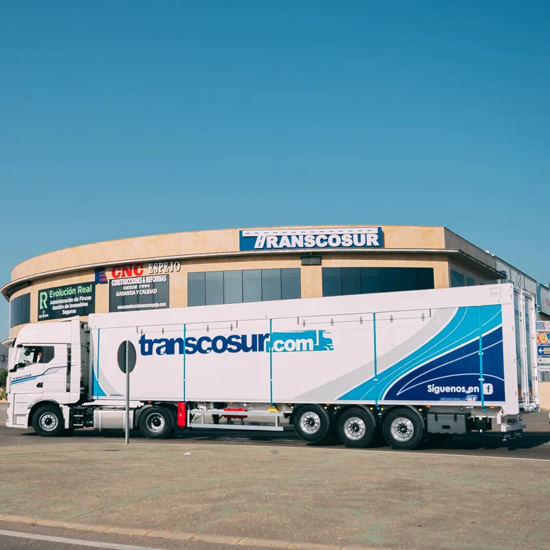empresa de transporte profesional